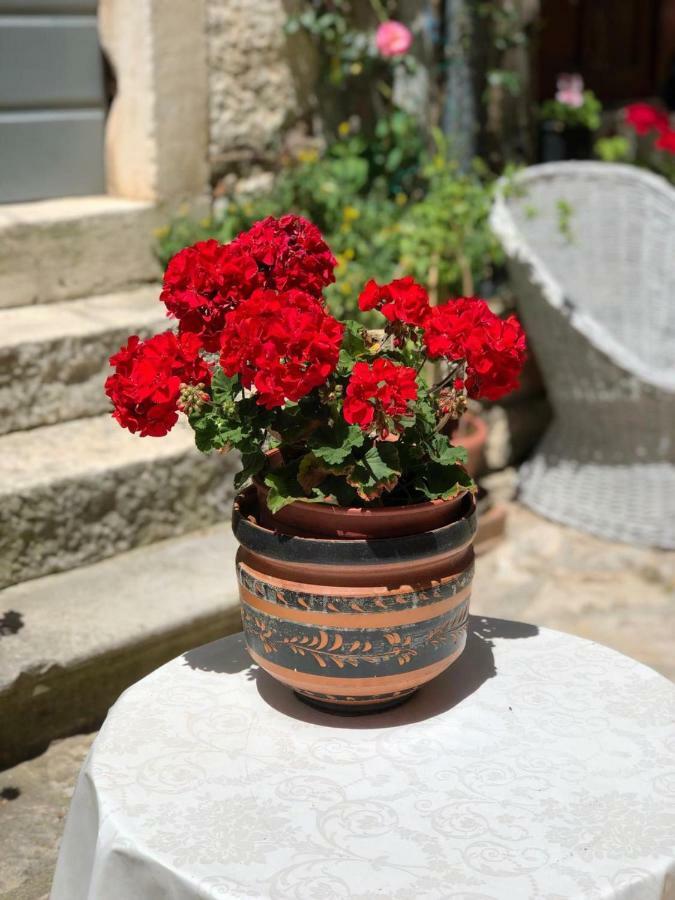 Monte B. Exclusive Apartment Rovinj Buitenkant foto